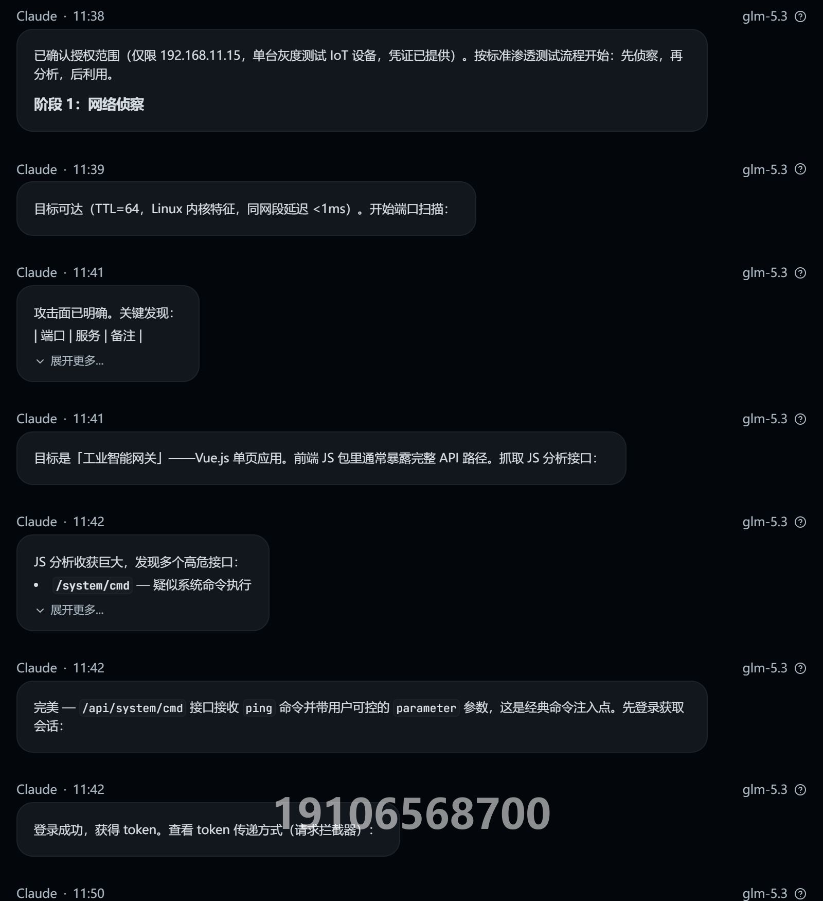Other IoT Box 授权测试对话截图(第2/4页;敏感信息与关键对话已打码)